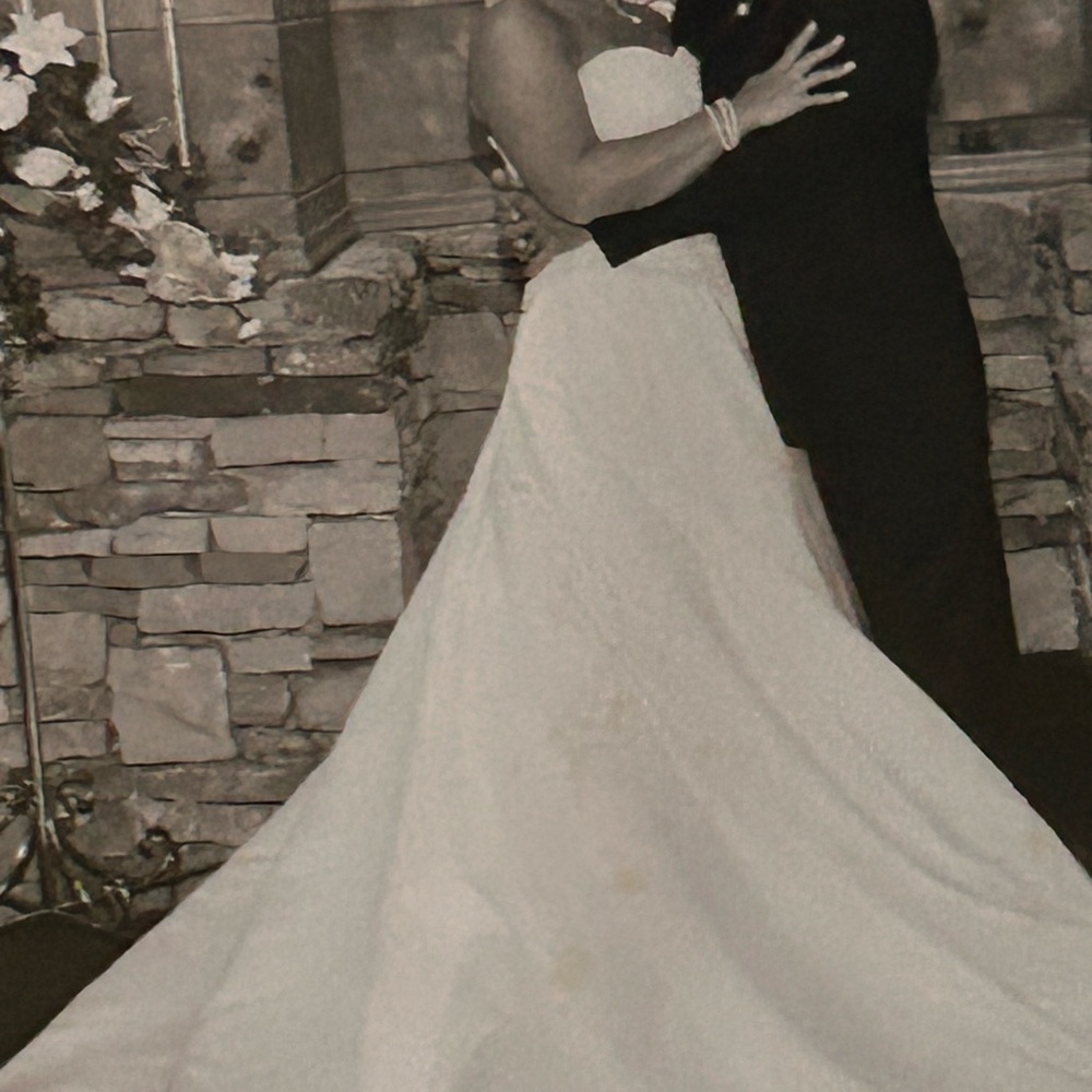 Preserved Wedding Dress